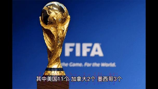 2026世界杯预选赛球员最新伤情动态 2026世界杯预选赛球员最新伤情动态